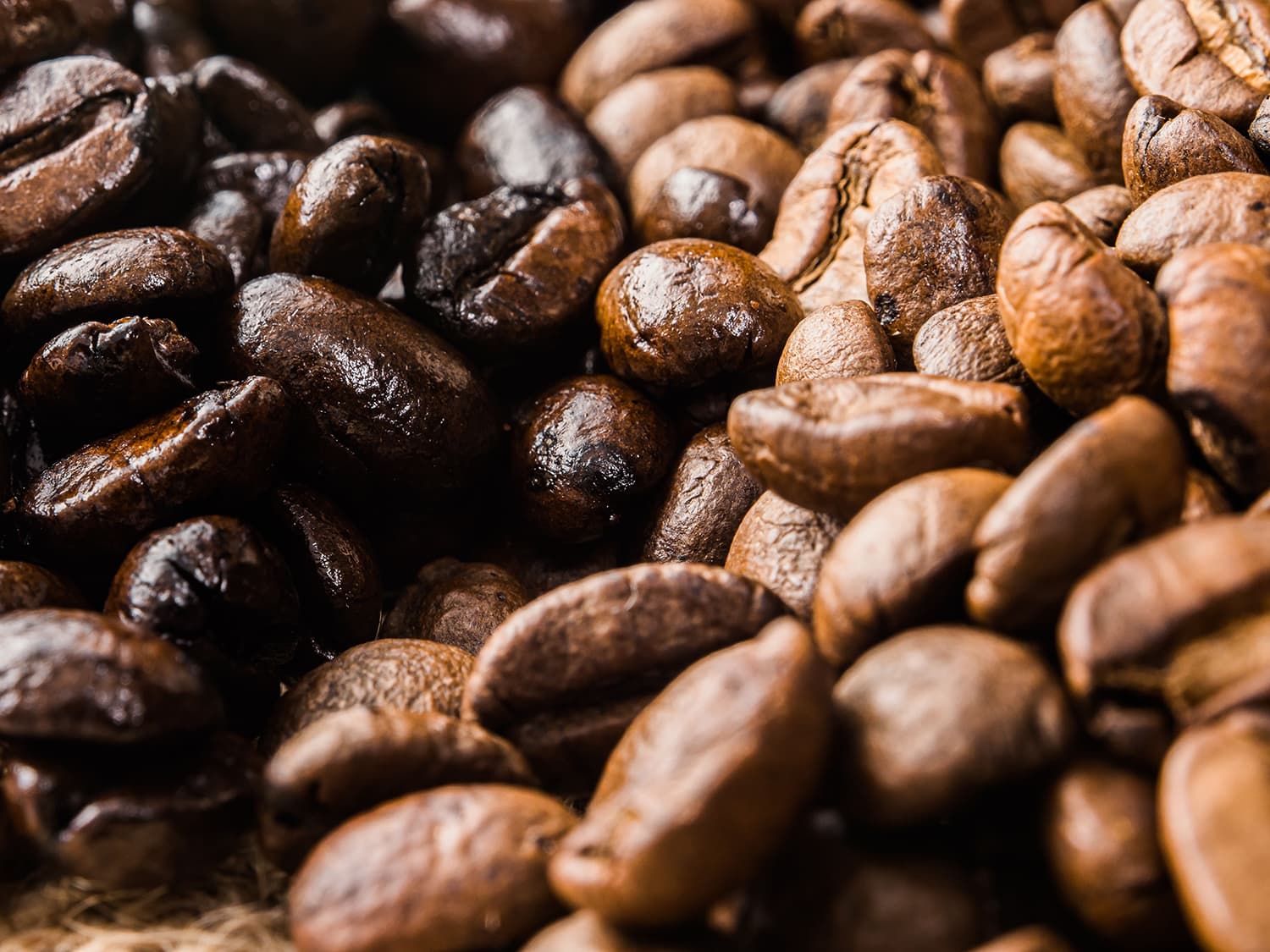 Coffee Brand